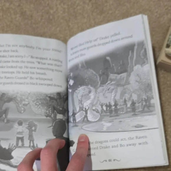 Chapter Book Collection - Picture 10 of 10